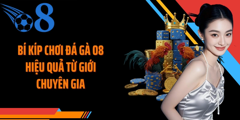 Bí kíp chơi đá gà O8 hiệu quả từ giới chuyên gia