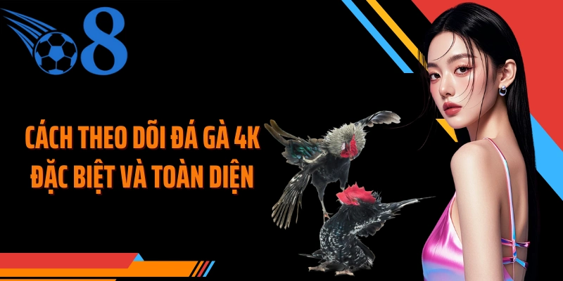Cách theo dõi đá gà 4K đặc biệt và toàn diện