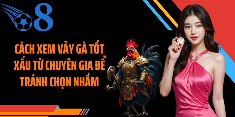 Cách xem vảy gà tốt xấu từ chuyên gia để tránh chọn nhầm