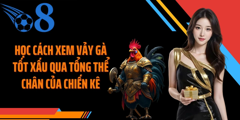 Học cách xem vảy gà tốt xấu qua tổng thể chân của chiến kê