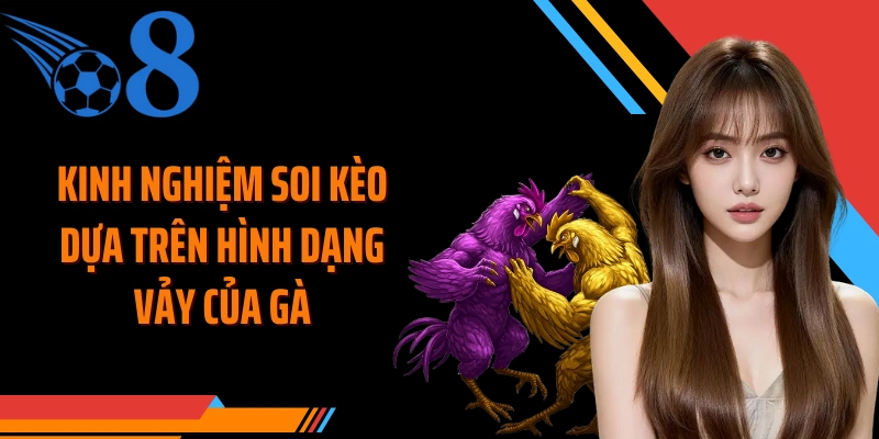 Kinh nghiệm soi kèo dựa trên hình dạng vảy của gà