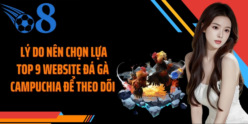 Lý do nên chọn lựa top 9 website đá gà Campuchia để theo dõi