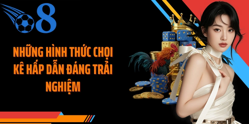 Những hình thức chọi kê hấp dẫn đáng trải nghiệm
