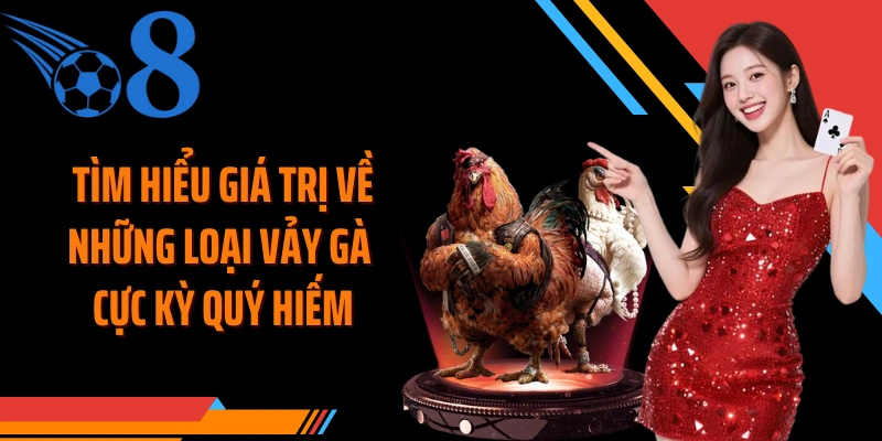 Tìm hiểu giá trị về những loại vảy gà cực kỳ quý hiếm