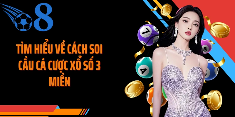 Tìm hiểu về cách soi cầu cá cược xổ số 3 miền
