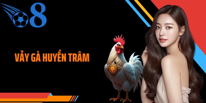 Vảy Gà Huyền Trâm Và Sức Mạnh Thực Chiến Trên Các Sới Đấu