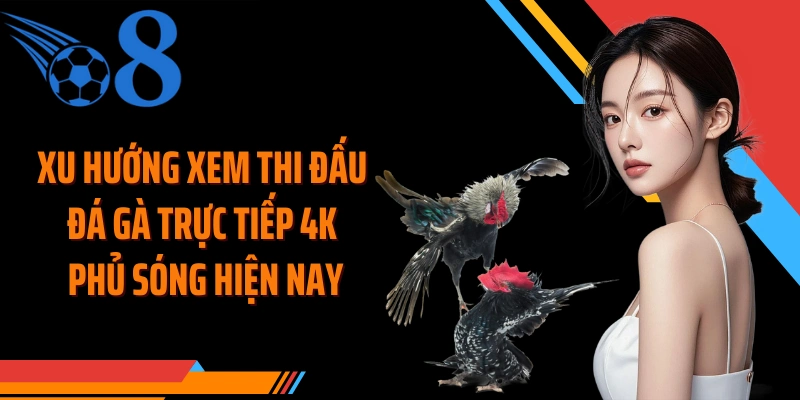 Xu hướng xem thi đấu đá gà trực tiếp 4K phủ sóng hiện nay